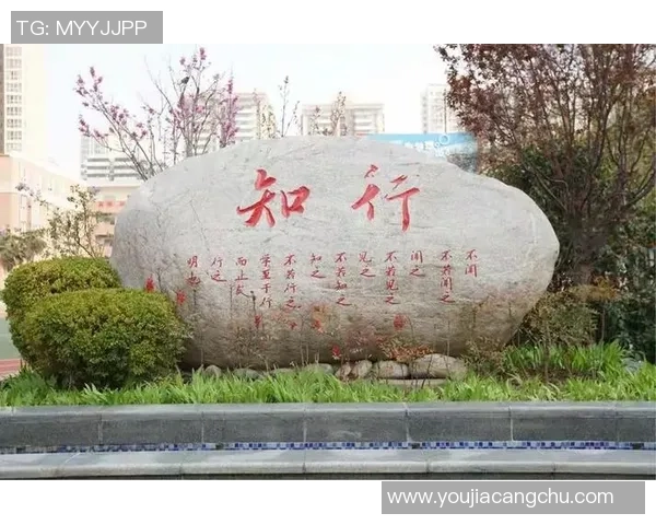 西安乒乓球队的转型之路与深度解析乒乓球运动的未来发展